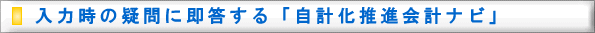 入力時の疑問に即答する「自計化推進会計ナビ」